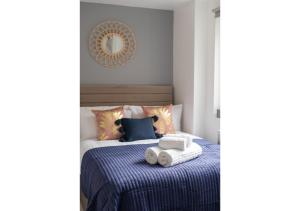 Splendid and Comfy 1 bedroom apartment
