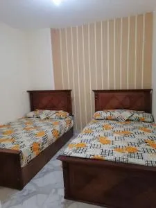 Swan Nest - 阿贾米