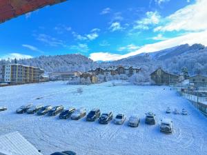 Bakuriani Hills Apartment