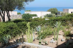 Appartements Appartamento 6 posti letto a 5 minuti dalla spiaggia : Appartement 2 Chambres