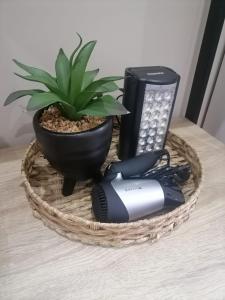 One Three Nine On Roberts