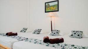 Dormitory Sritanjung By Metric