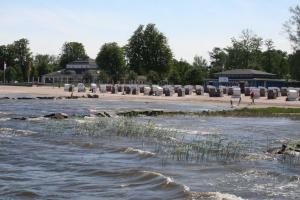 Ferienhaus "Kirschblüte"