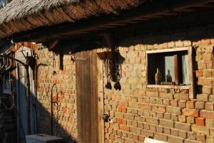 Historisches Reetdachhaus mit Bauwagen und großem Obstgarten