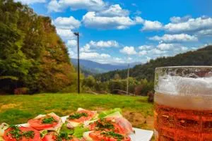 Domki Na Grapie - Czaniec