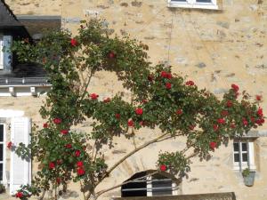 Maisons d'hotes Au Presbytere de Dagmar : photos des chambres