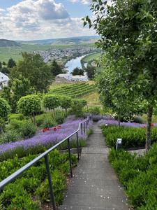 Ferienwohnung "Auszeit Im alten Weinberg"