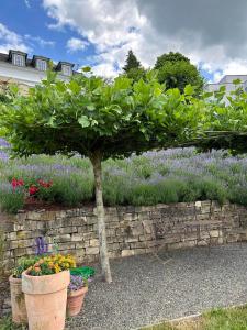 Ferienwohnung "Auszeit Im alten Weinberg"