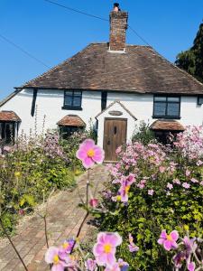 Local Walks Pub Gardens Pet Friendly Landscaped Gardens and Free Private Parking