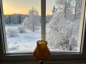 House in the middle of forests and lakes