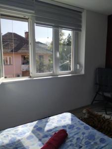 Apartman Slavica