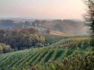 Wine & Art Lodge Jeruzalem 