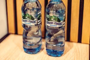 Elegance Loft Apartment