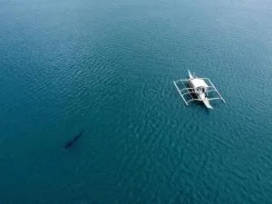 Dancalan Beach Resort - 董索