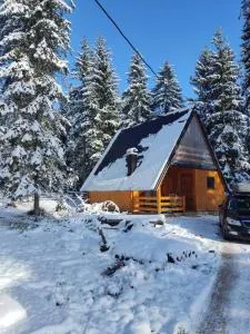 Vila Jovana - Sokolac