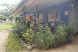 Blue Cactus Shanty - Shiri