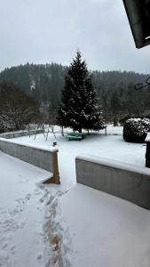 Maisons de vacances L'ecole du Hameau 9pers Le Mont Dore : photos des chambres