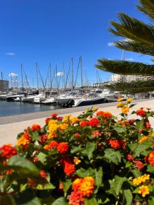 La Canopée Cosy à Carnon Plage