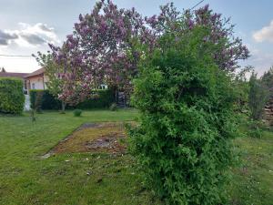 A house, free parking, sauna