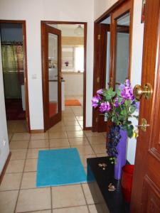 Apartamento Aracelli