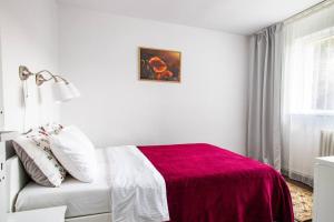 Cozy Cluj-Napoca apartment in a quiet area