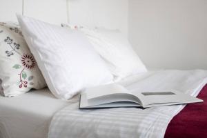 Cozy Cluj-Napoca apartment in a quiet area