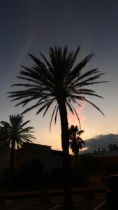 Location Mer Azur Sud