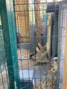 Maisons de vacances Mini-villa 1 MER : photos des chambres