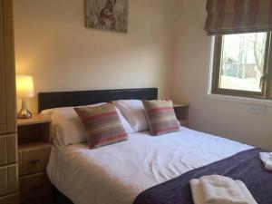 Luxury 3 bedroom lodge with free in lodge wifi