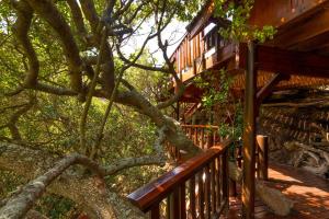 Ballots Bay Treehouse