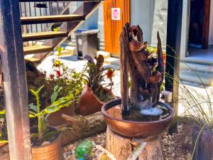 Hospedagem Quinta do Correia