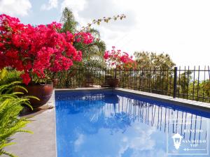 Rancho San Diego, Villa llena de Vida VIP