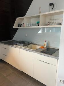 Vučko apartmani Konaci