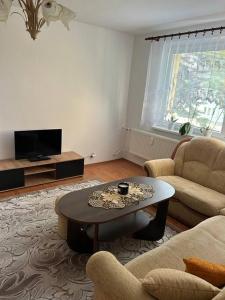 Apartmán v centre mesta