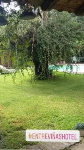 ENTRE VIÑAS - Chimbarongo