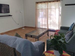 Lot # 7 ~ Large, Energetic Baja House