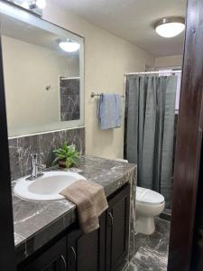 Luxury village on the 5th avenue with private rooftop