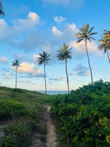 Apto Vista Mar - Jacumã