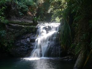 Fairy Falls - romantic Daintree Rainforest retreat with enchanting waterfall