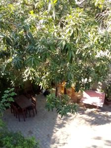 The Chill River-Boutique Villa