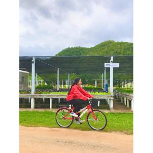 Quality Time Farmstay: Bamboo House