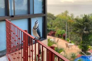 Modern condo with stunning ocean views in Samara