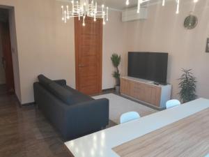 Deluxe Central Apartment 