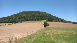 Ferienwohnung MW 1b 82m2 Höxter Weserbergland Weser inkl 2 Terrassen Wäsche und Endreinigung Self CheckIn