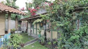 Serambut Widi Artcation