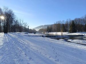 Apartament Ustrońska Jodełka z Balią i Ogrodem-Nadrzeczna