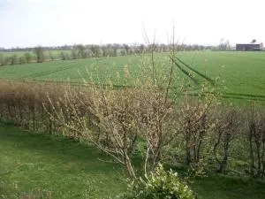 F16bDG - Wohnung mit Balkon und Aussicht - Lemkendorf