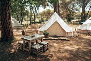 Pigna Felice Le Marze