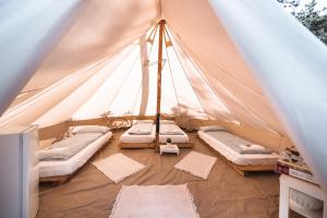 Pigna Felice Le Marze