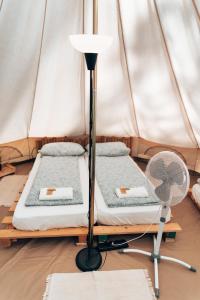 Pigna Felice Le Marze